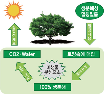 멀칭필름: 개요