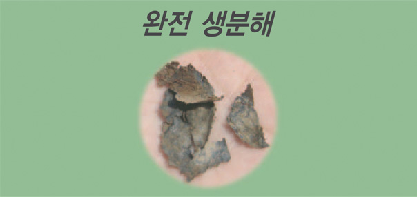 장점