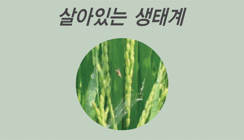 장점